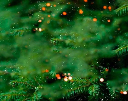 Voos-para-o-feriado-de-Natal-2023-otimas-promocoes