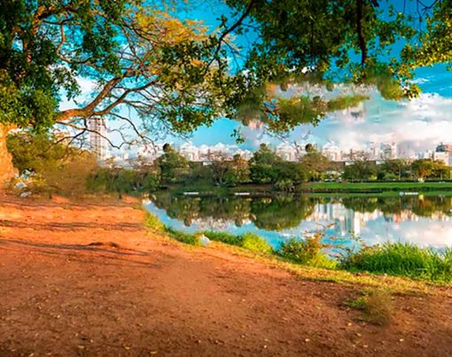 Black-Friday-2023-em-Sao-Paulo---Melhores-ofertas