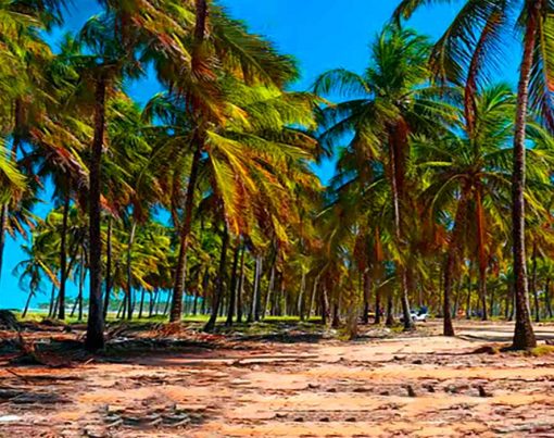 TOP-Viagens-DECOLAR-para-2023