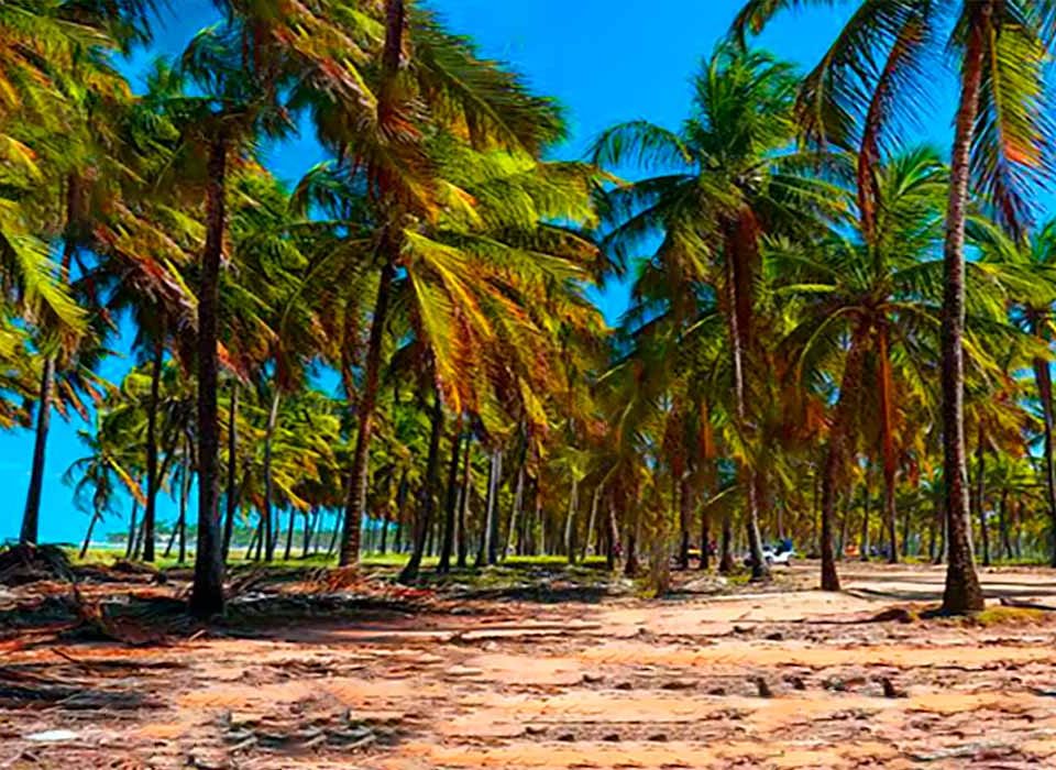 TOP-Viagens-DECOLAR-para-2023