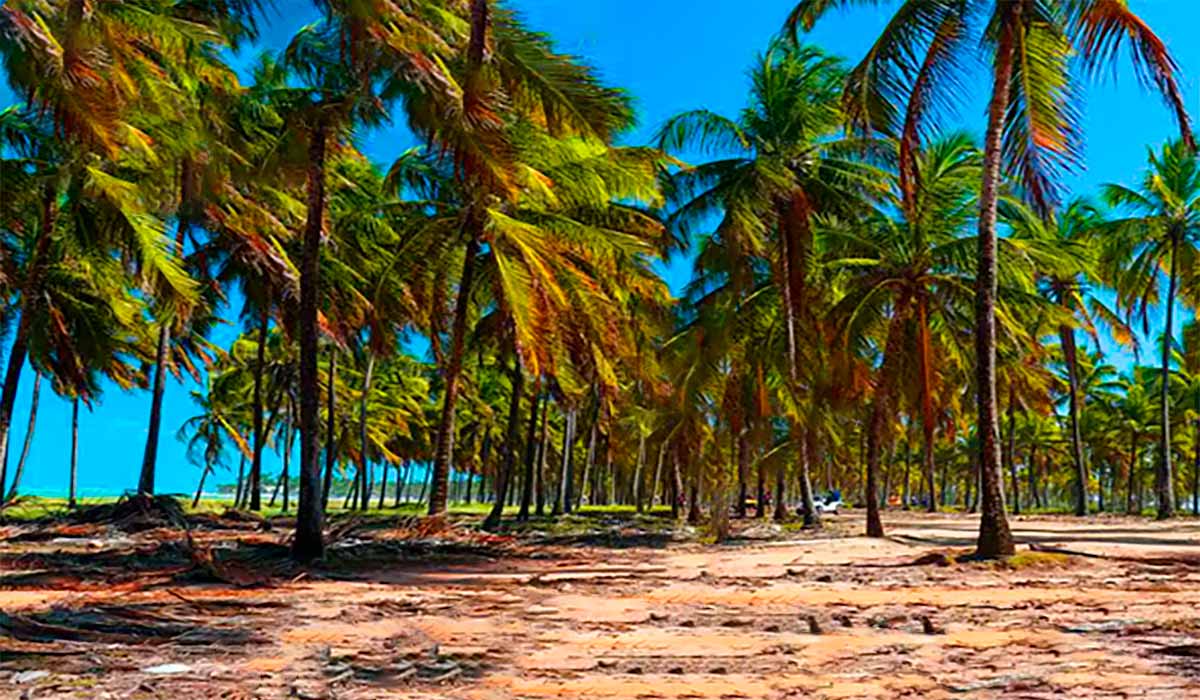TOP Viagens DECOLAR para 2023, pacotes em promoção.