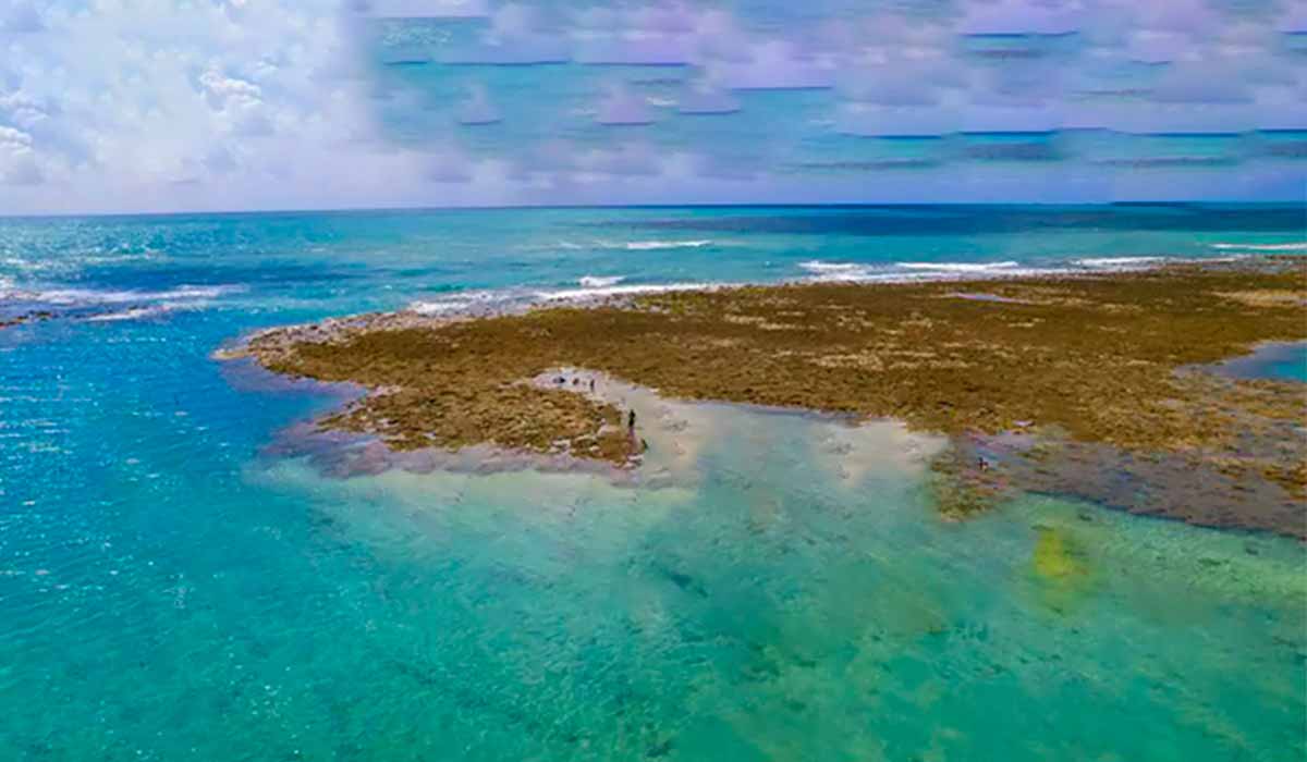 Voos 2023 em promoção para Porto de Galinhas.