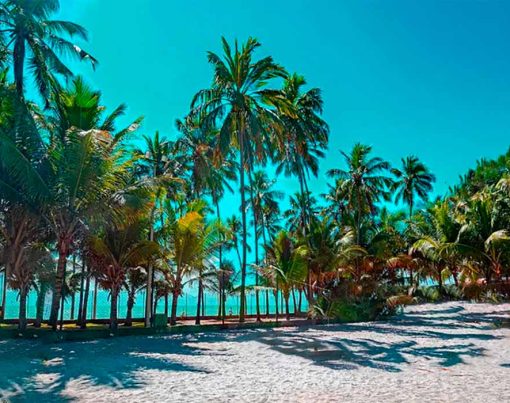 Voos-em-promocao-para-o-litoral-do-Brasil-no-ano-novo-2024