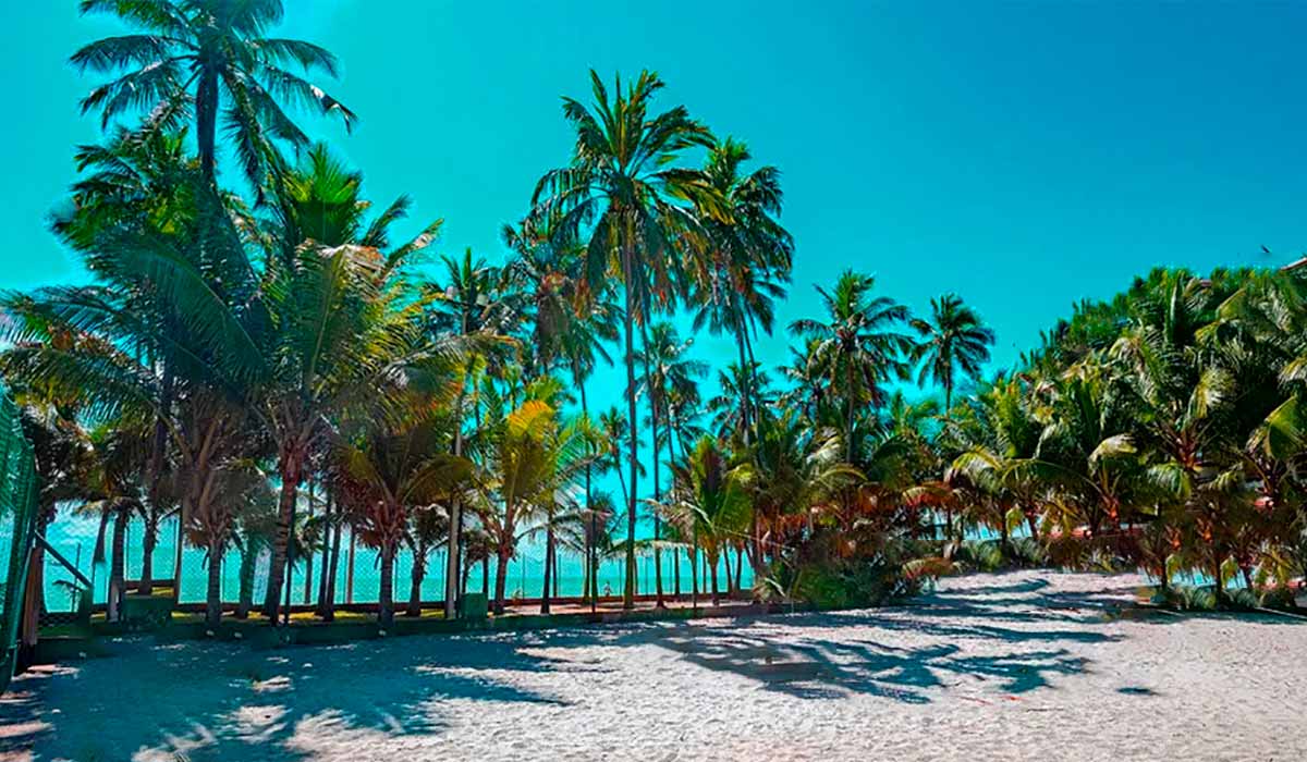 Voos em promoção para o litoral do Brasil no ano novo 2024. Ofertas de passagens aéreas para o réveillon.